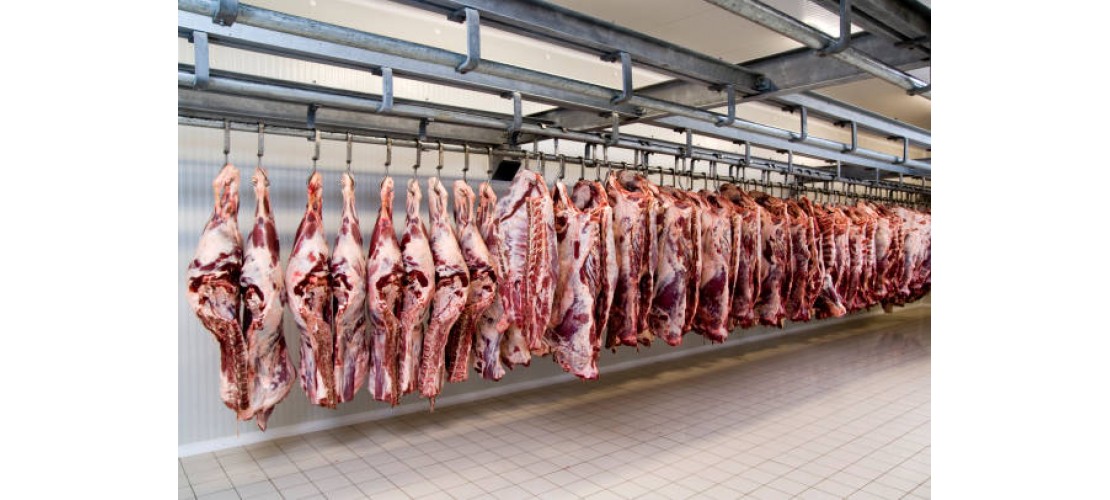 En Kaliteli Ürünler